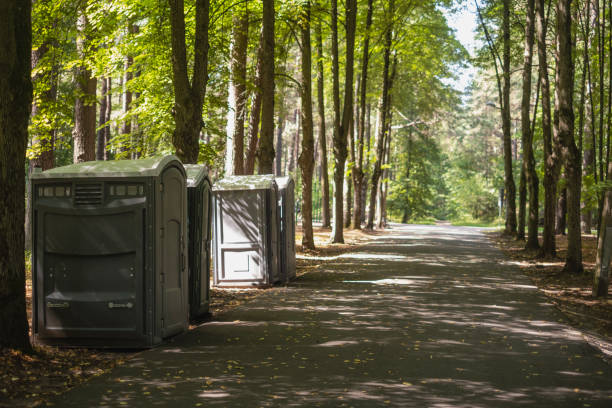 Best Affordable porta potty rental  in Roanoke, IN